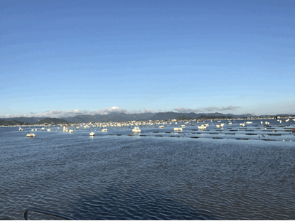 藍色牧場財富多——生態(tài)中國沿海行之福建霞浦海水養(yǎng)殖技術(shù)創(chuàng)新