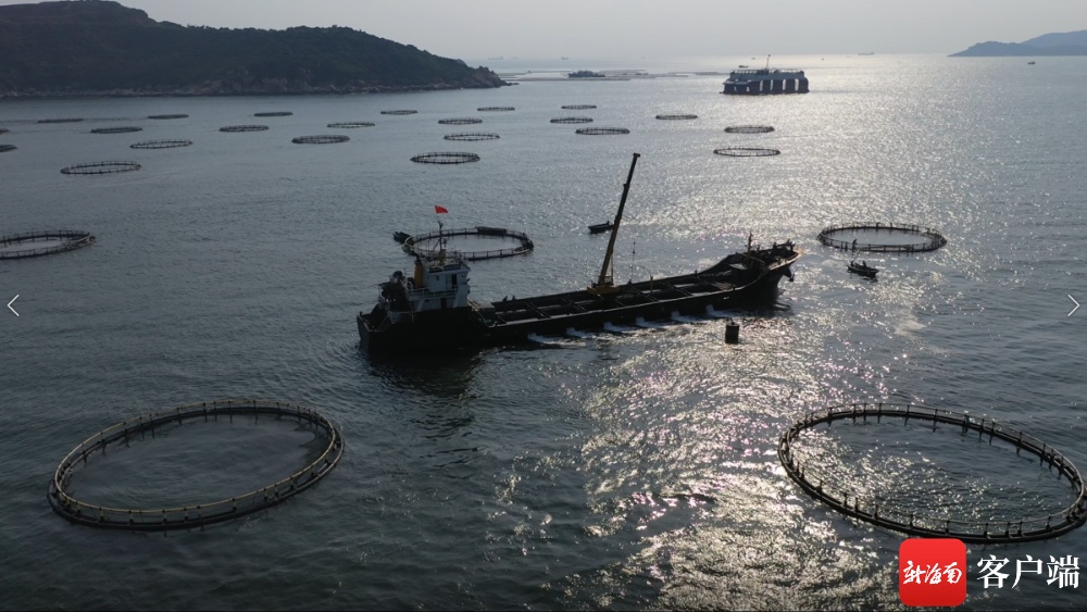 農(nóng)發(fā)行海南省分行33.04億元貸款助推南繁種業(yè)與海水養(yǎng)殖技術(shù)振興