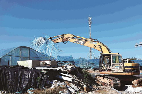 石獅市融媒體中心 科技賦能，推動海水養殖技術研發新突破